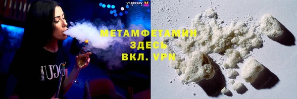 прущие грибы Михайловск