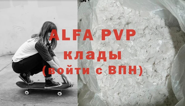 прущие грибы Михайловск