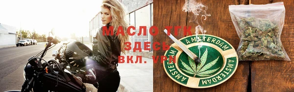 прущие грибы Михайловск