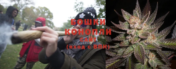 ПСИЛОЦИБИНОВЫЕ ГРИБЫ Наволоки