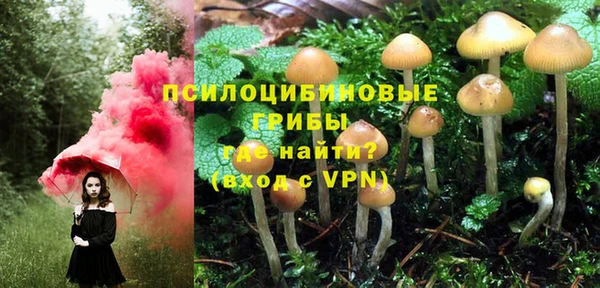 прущая мука Надым