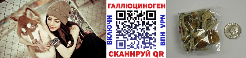 ссылка на мегу ТОР  Щигры  Псилоцибиновые грибы Psilocybine cubensis  где продают наркотики 